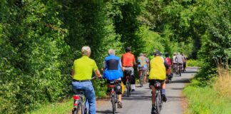 Renten in Deutschland: Was ist wichtig zu wissen?