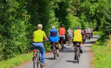 Renten in Deutschland: Was ist wichtig zu wissen?