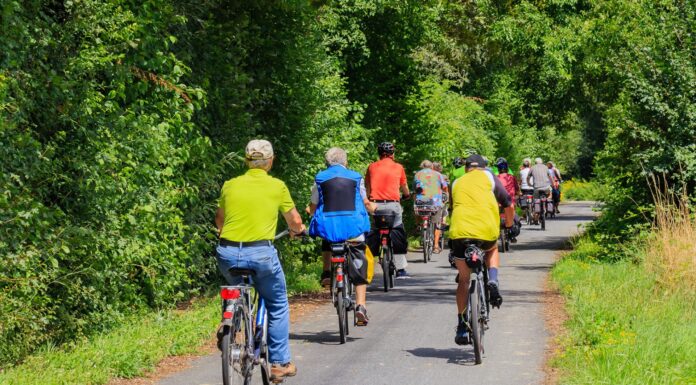 Renten in Deutschland: Was ist wichtig zu wissen?