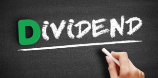 Dividendenaktien 2024 – welche sind die besten?