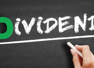 Dividendenaktien 2024 – welche sind die besten?