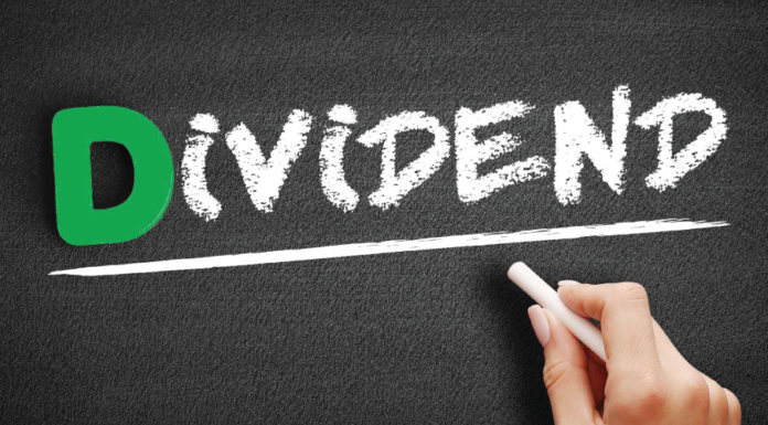 Dividendenaktien 2024 – welche sind die besten?