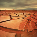 Dürre, Hitze und Unwetter – Die Herausforderungen für die Landwirtschaft