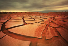 Dürre, Hitze und Unwetter – Die Herausforderungen für die Landwirtschaft