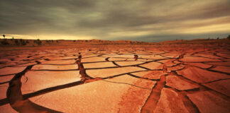 Dürre, Hitze und Unwetter – Die Herausforderungen für die Landwirtschaft