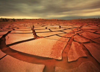 Dürre, Hitze und Unwetter – Die Herausforderungen für die Landwirtschaft