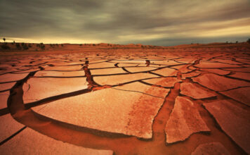 Dürre, Hitze und Unwetter – Die Herausforderungen für die Landwirtschaft
