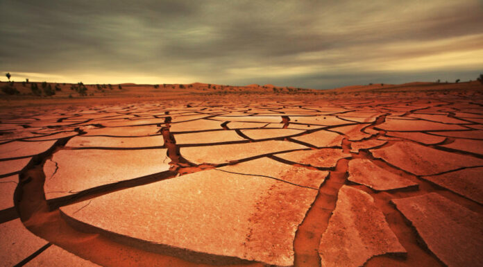 Dürre, Hitze und Unwetter – Die Herausforderungen für die Landwirtschaft