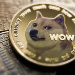 Memecoins – was soll man glauben?