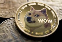Memecoins – was soll man glauben?