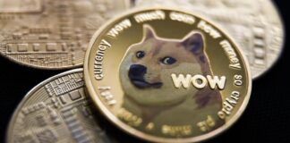 Memecoins – was soll man glauben?