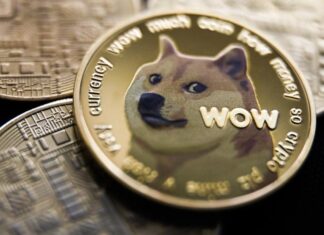 Memecoins – was soll man glauben?