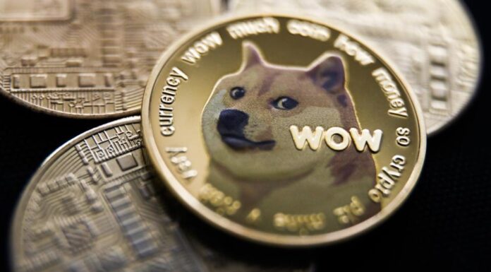 Memecoins – was soll man glauben?