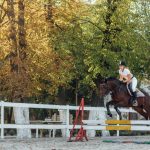 Pferderennen in Europa