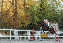 Pferderennen in Europa