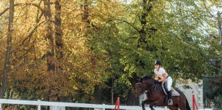 Pferderennen in Europa