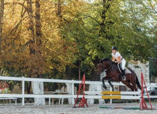 Pferderennen in Europa