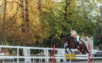 Pferderennen in Europa