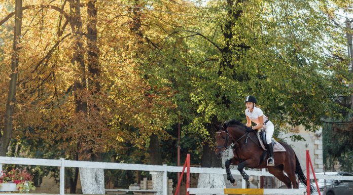 Pferderennen in Europa